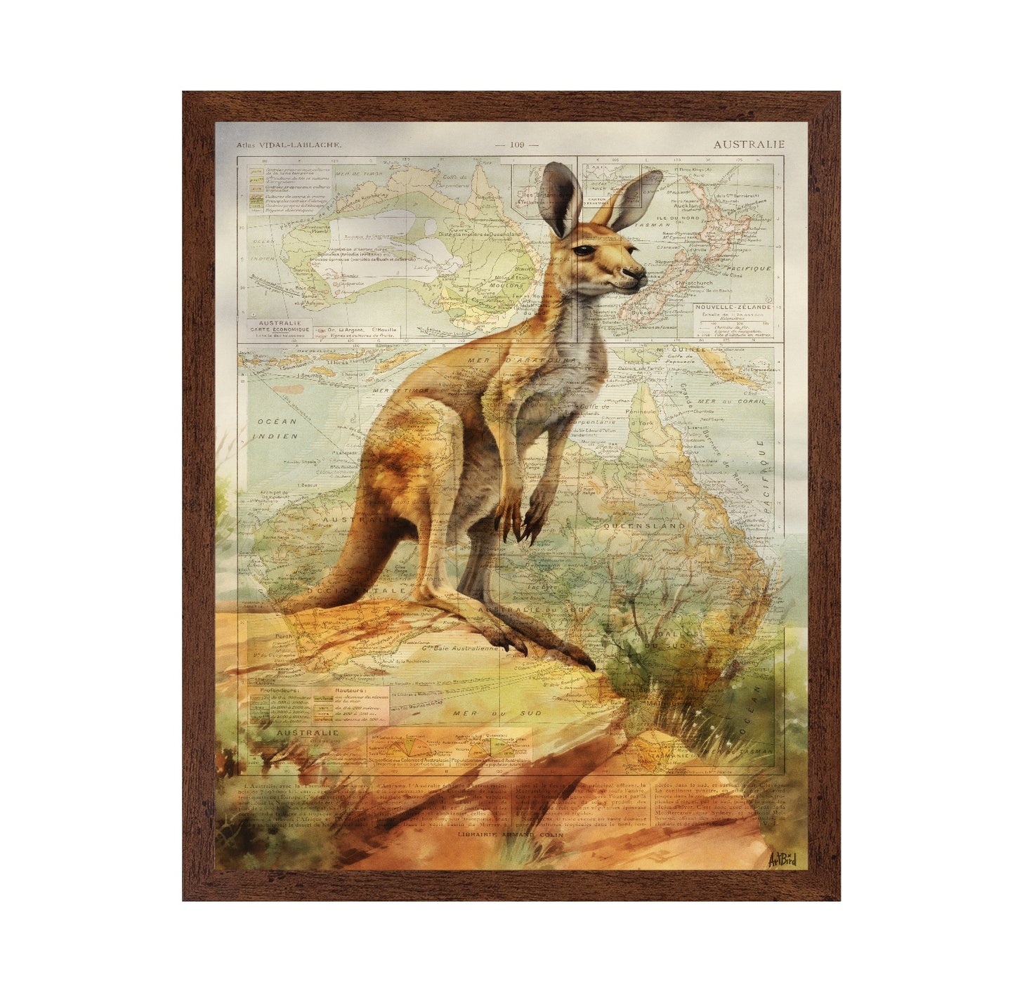 Australia Kangaroo Map