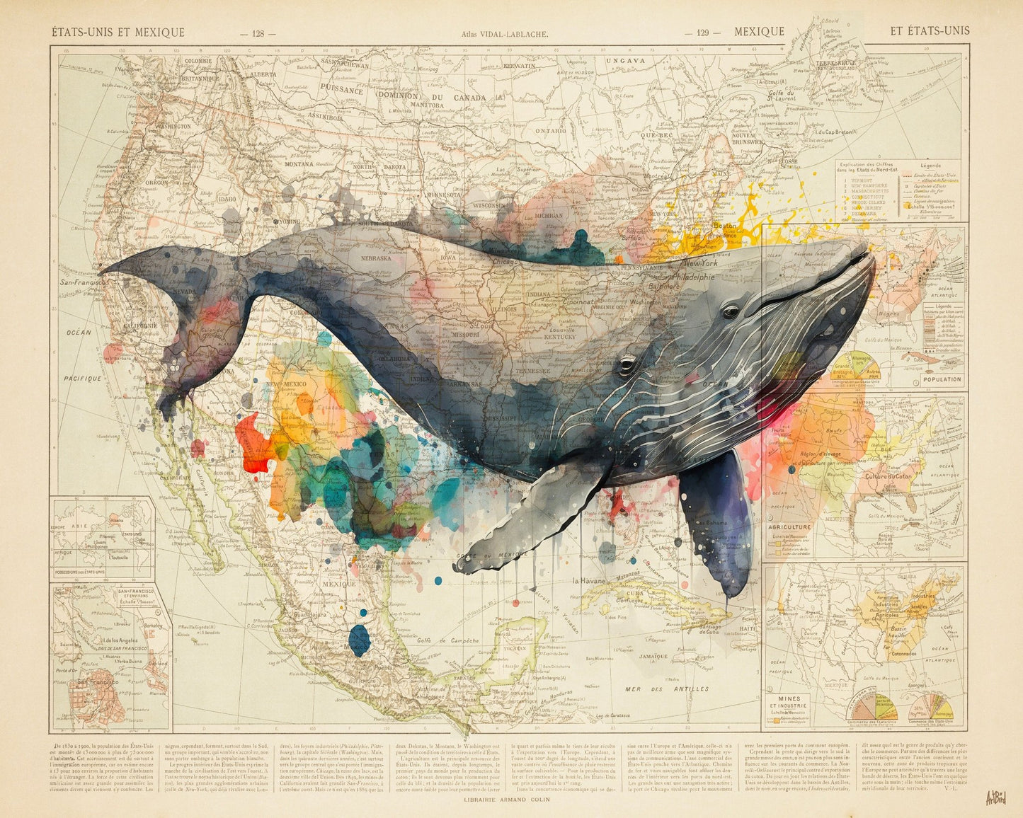 North America Whale Map