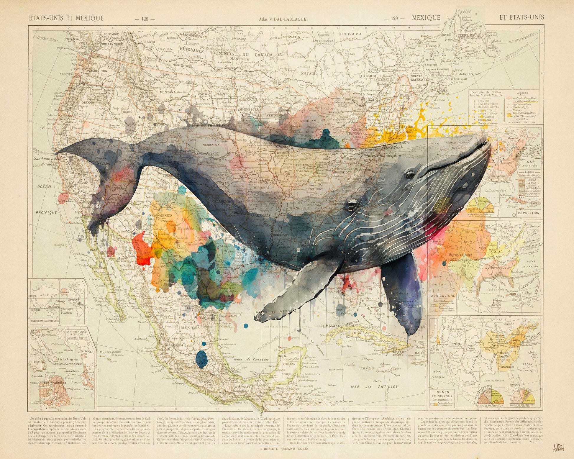 North America Whale Map