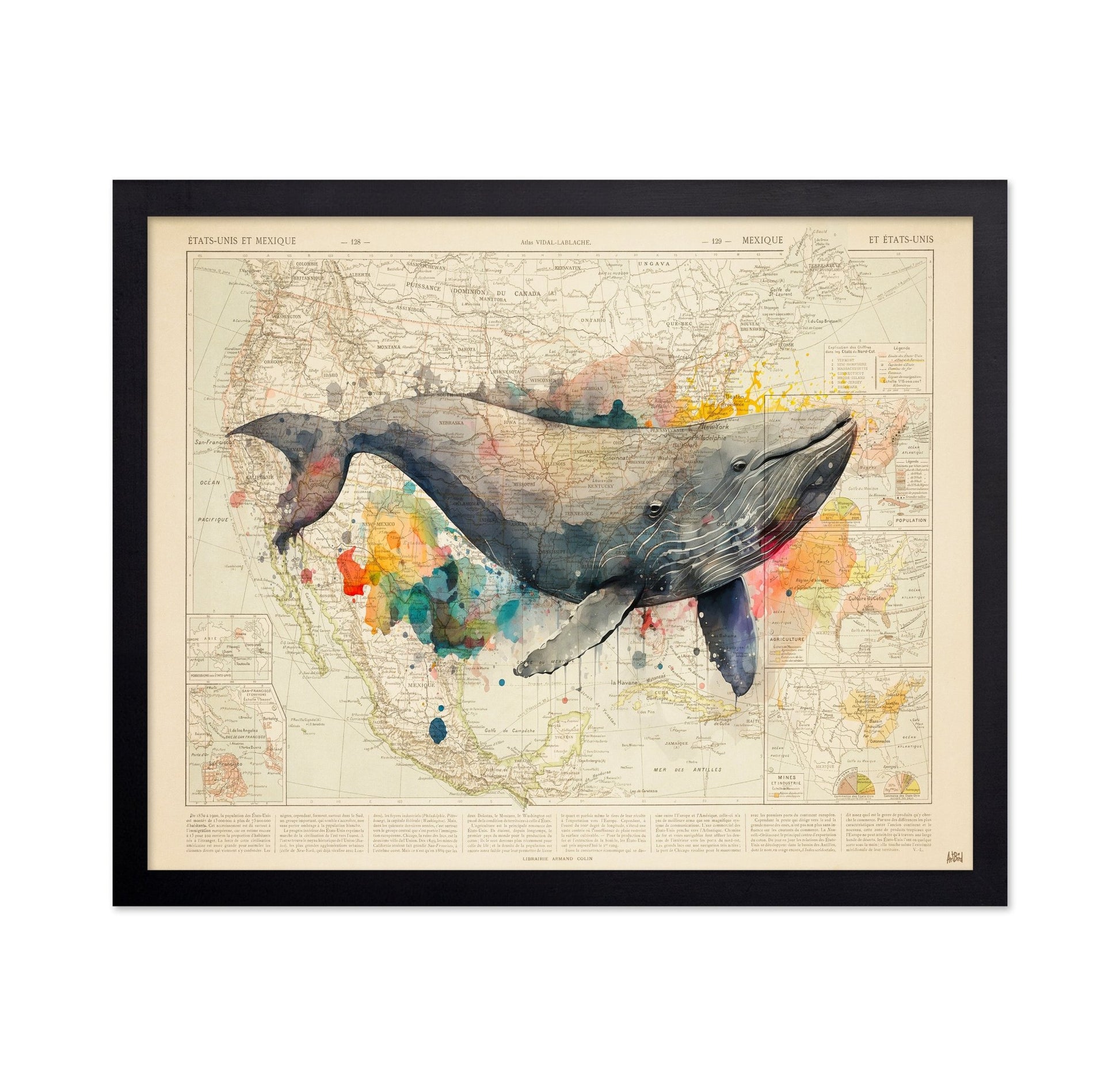 North America Whale Map