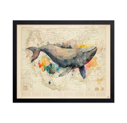 North America Whale Map