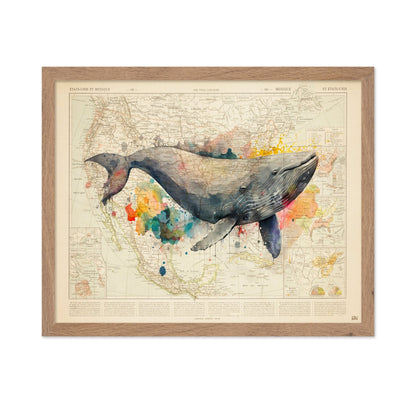 North America Whale Map