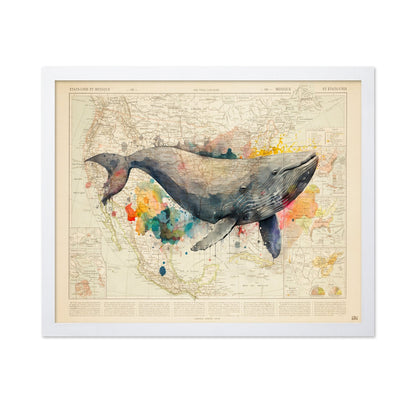 North America Whale Map