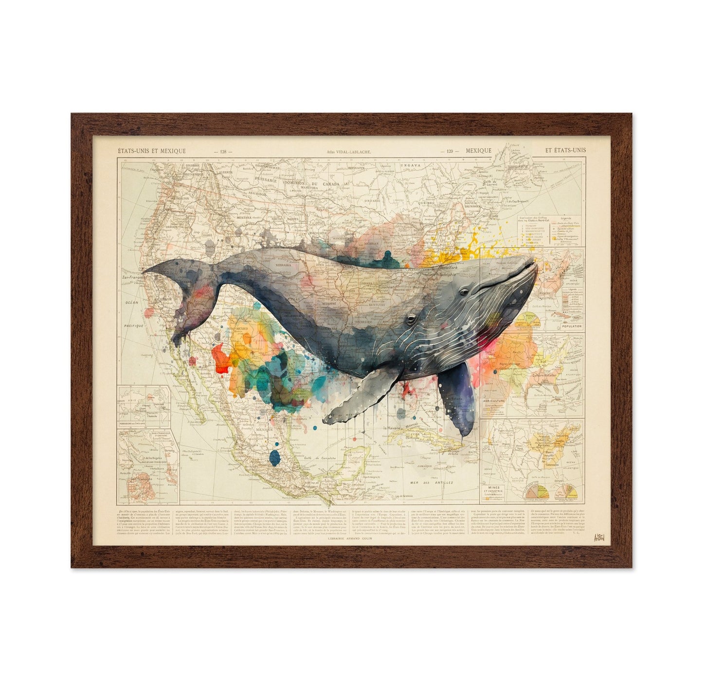 North America Whale Map