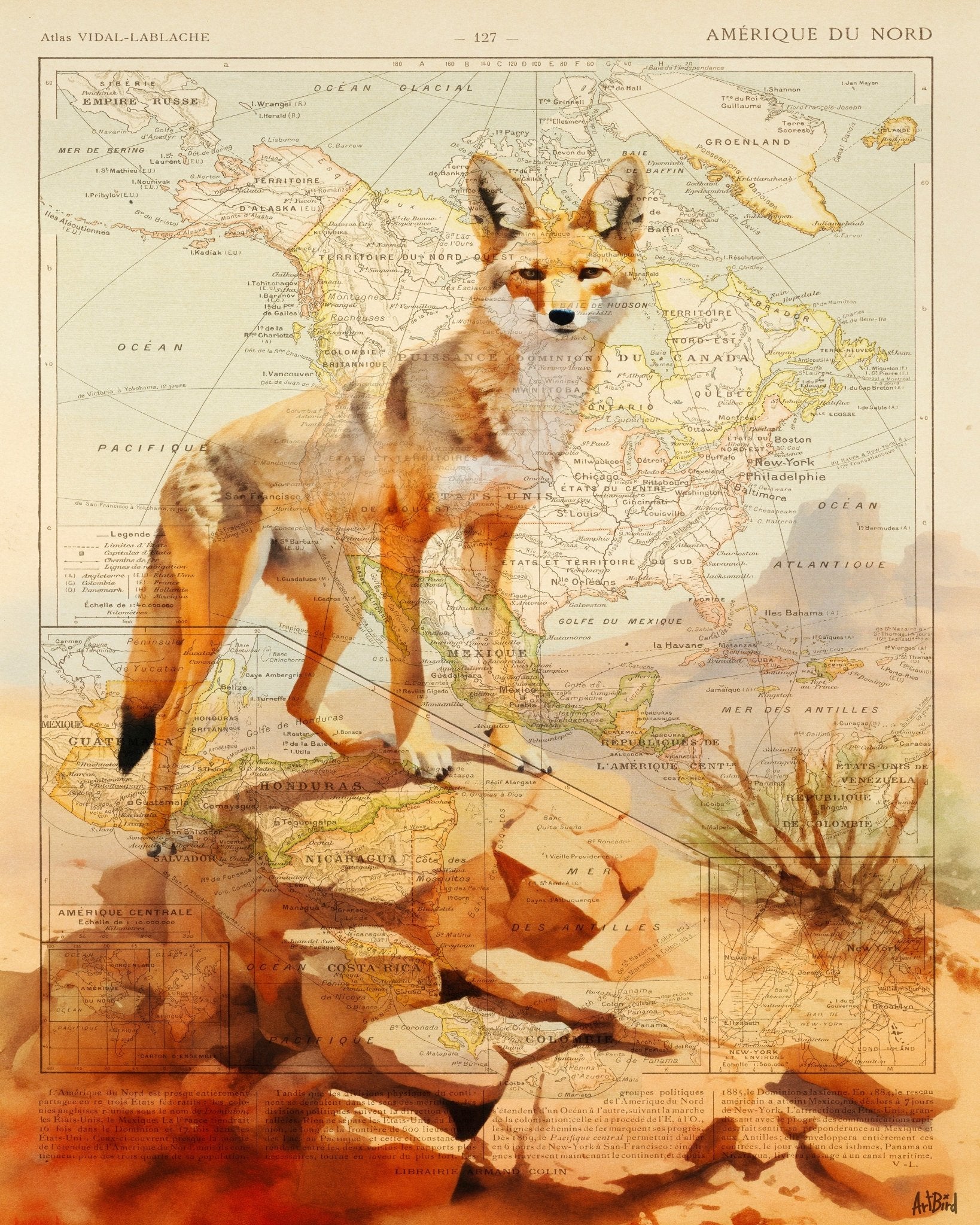 North America Fox Map