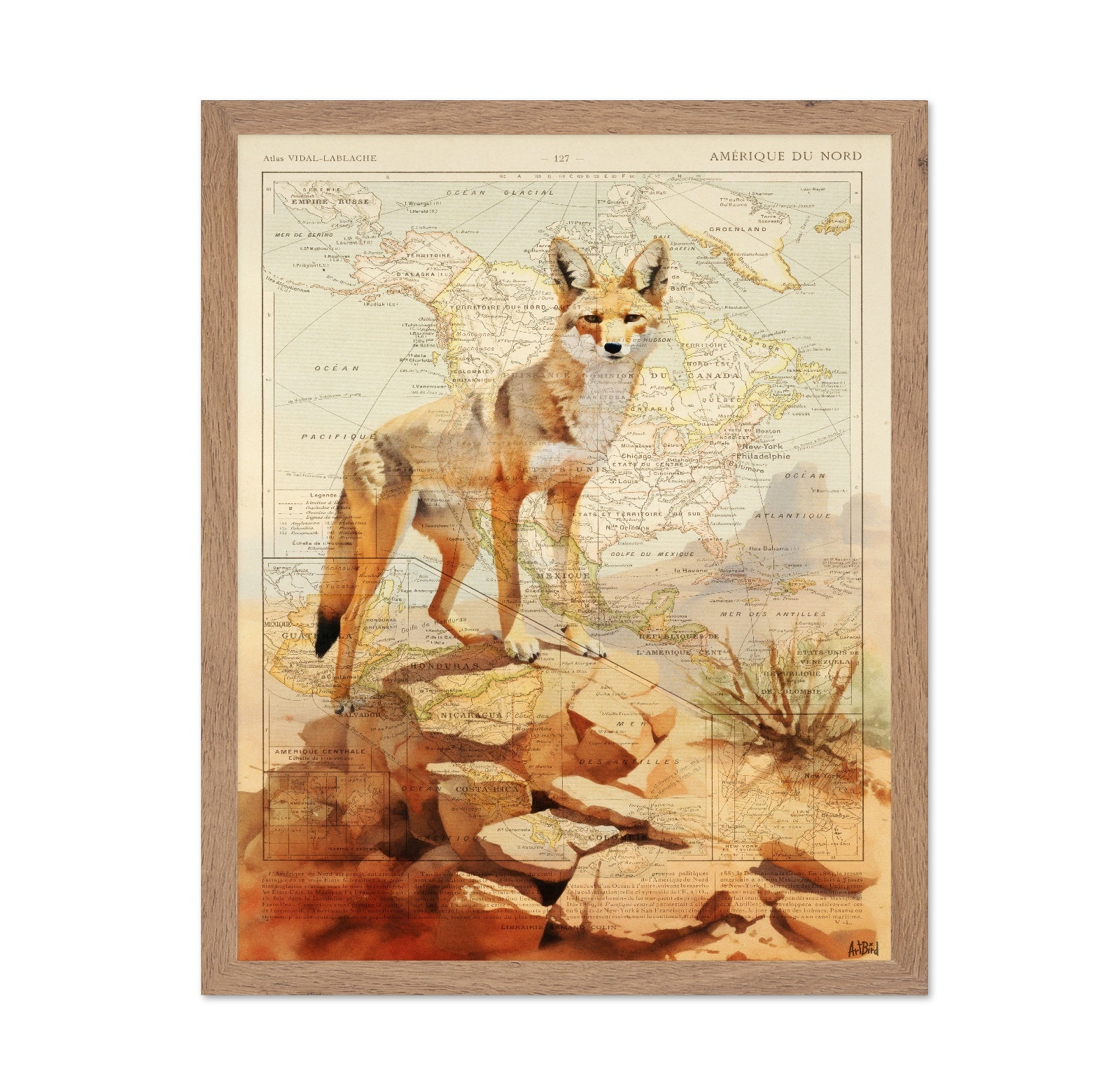 North America Fox Map