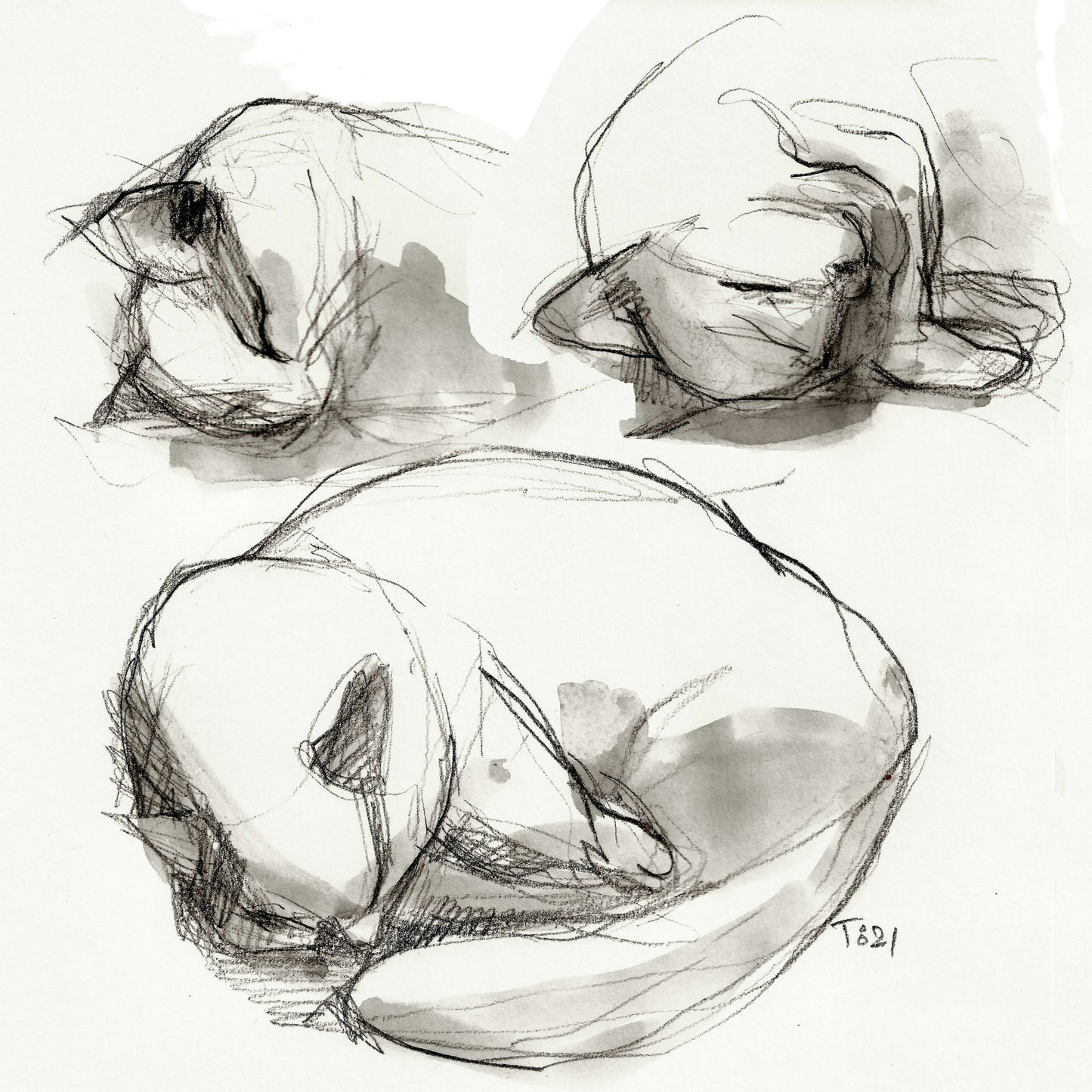 Seated Figure Studies