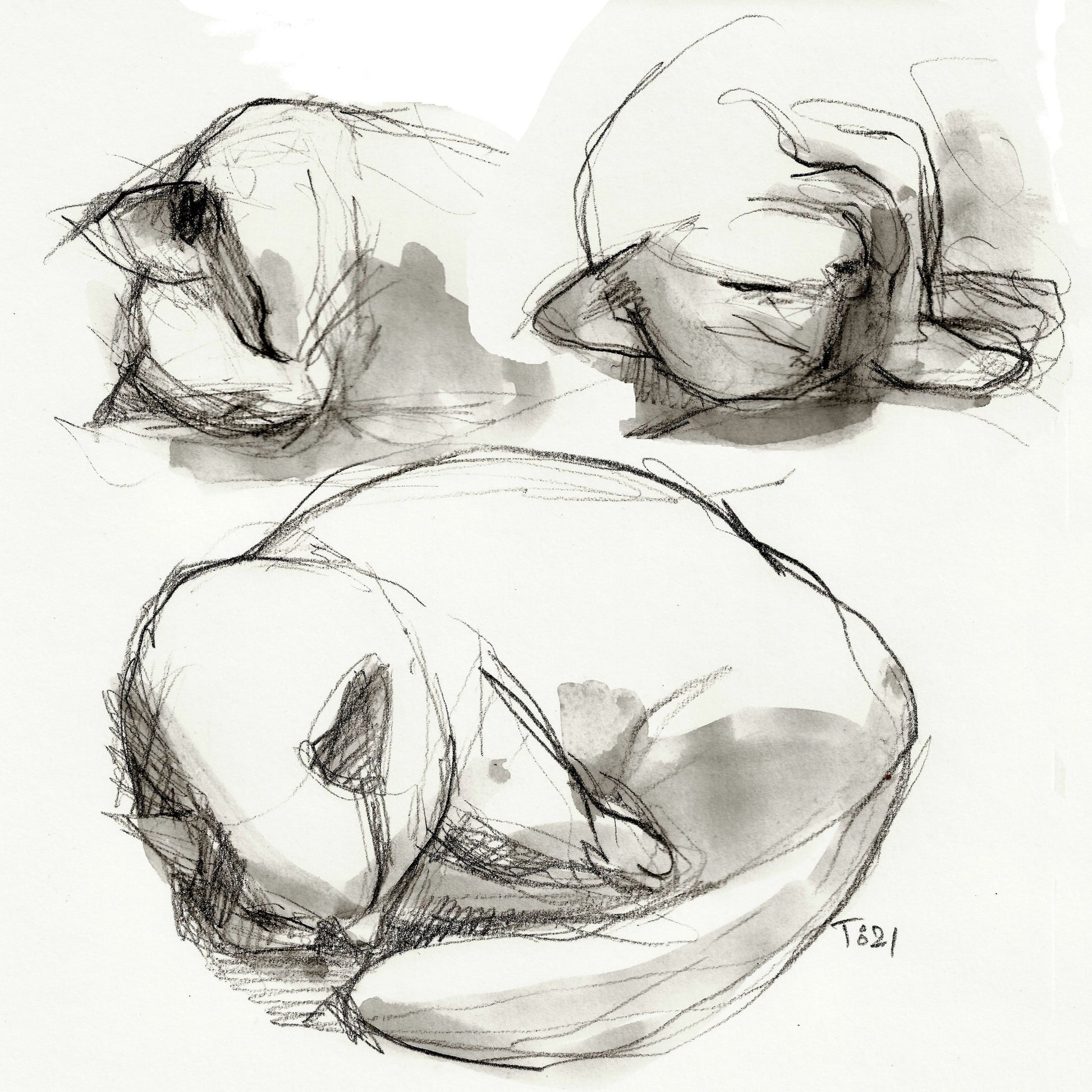 Seated Figure Studies