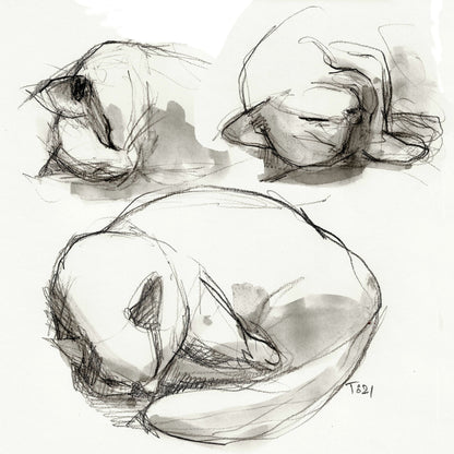 Seated Figure Studies