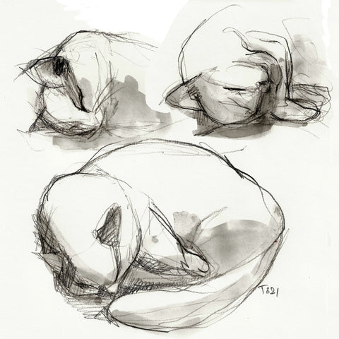 Seated Figure Studies
