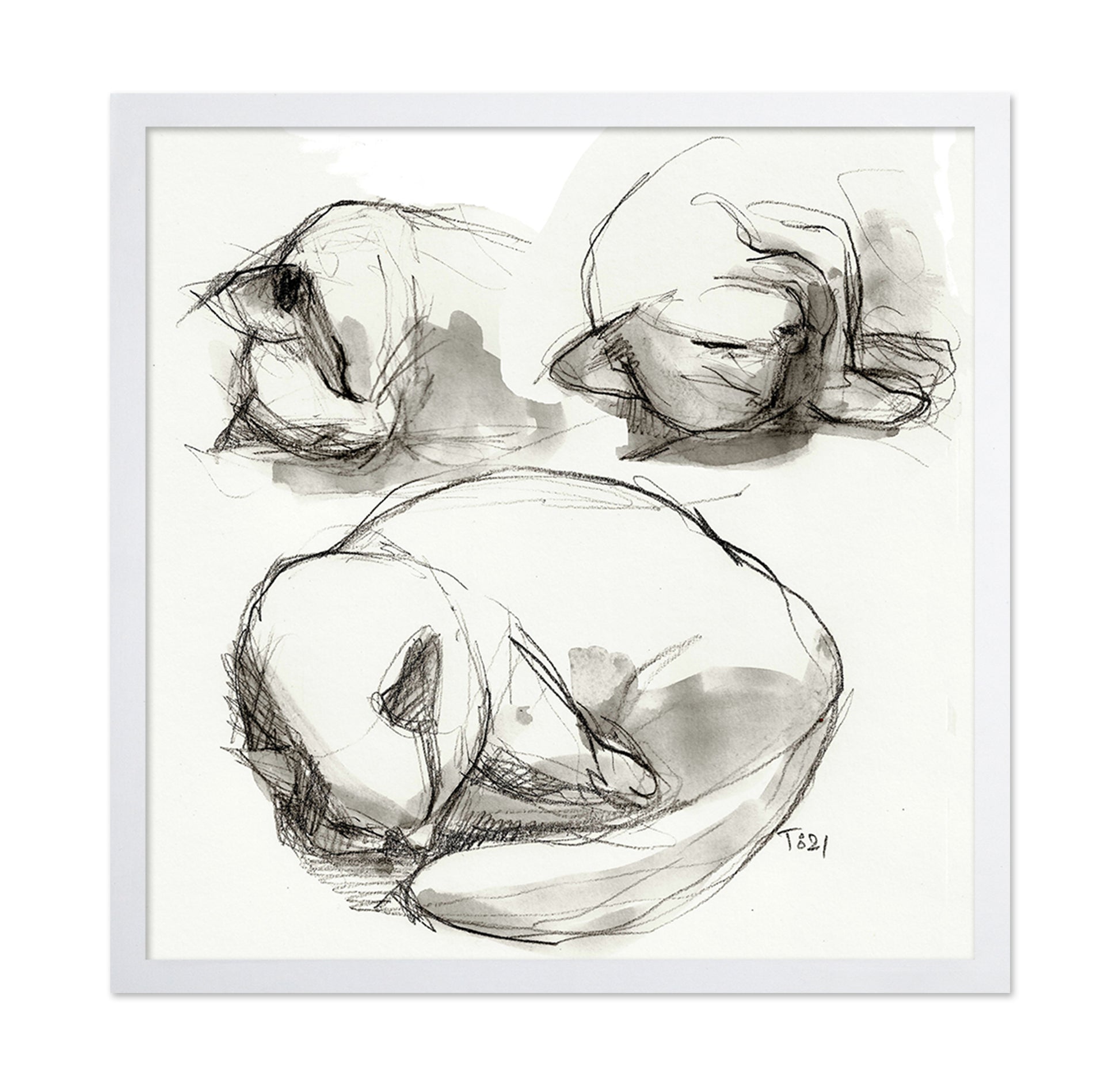 Seated Figure Studies
