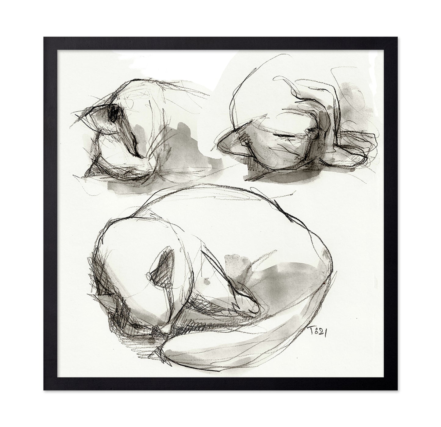 Seated Figure Studies