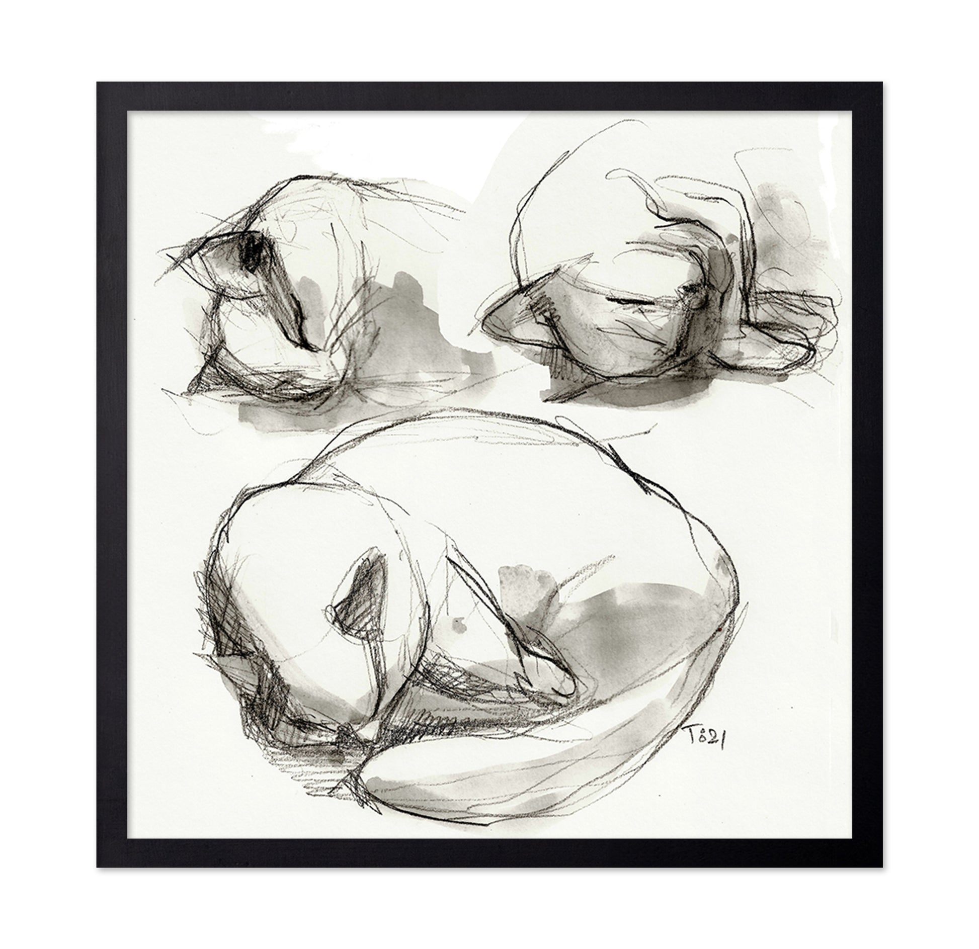 Seated Figure Studies