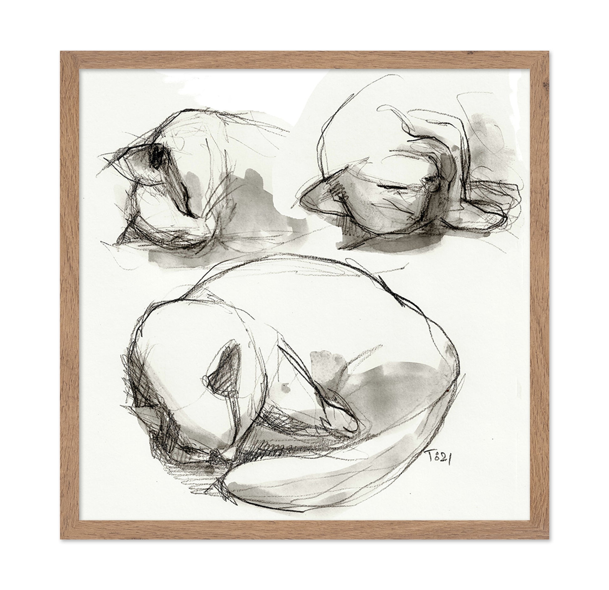 Seated Figure Studies