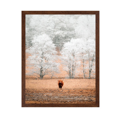 Highland Cow Winter