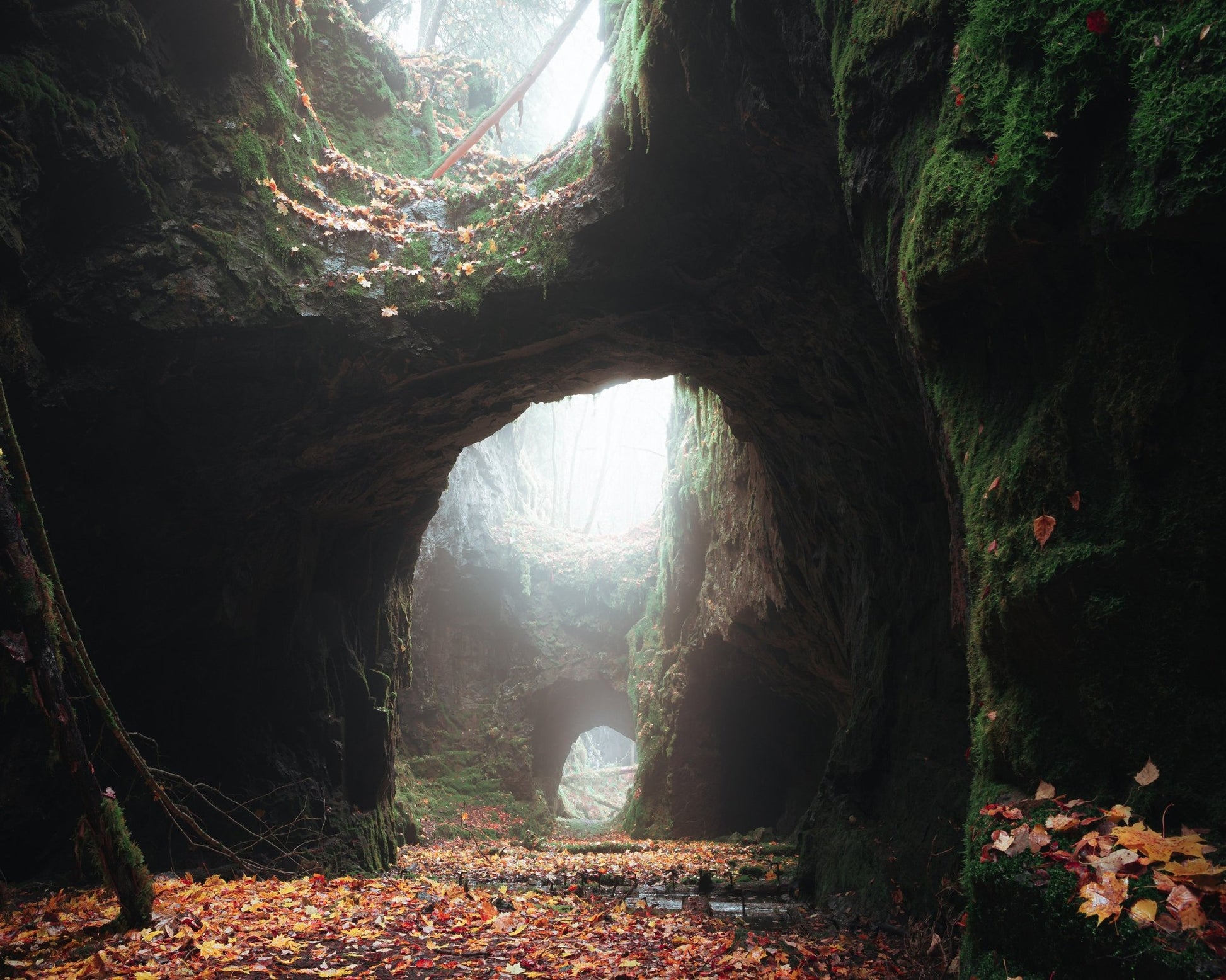 Mossy Cave Arches