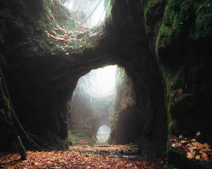 Mossy Cave Arches