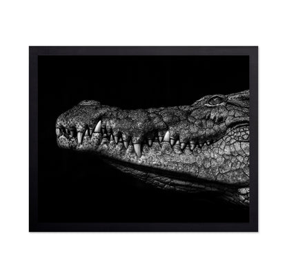 Crocodile Close Up