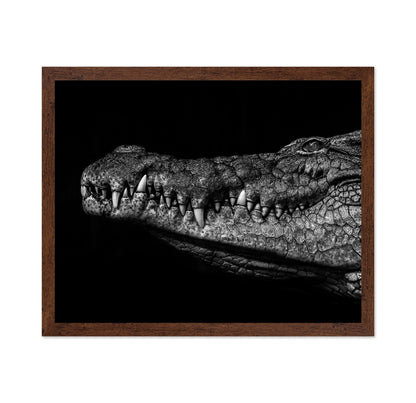 Crocodile Close Up