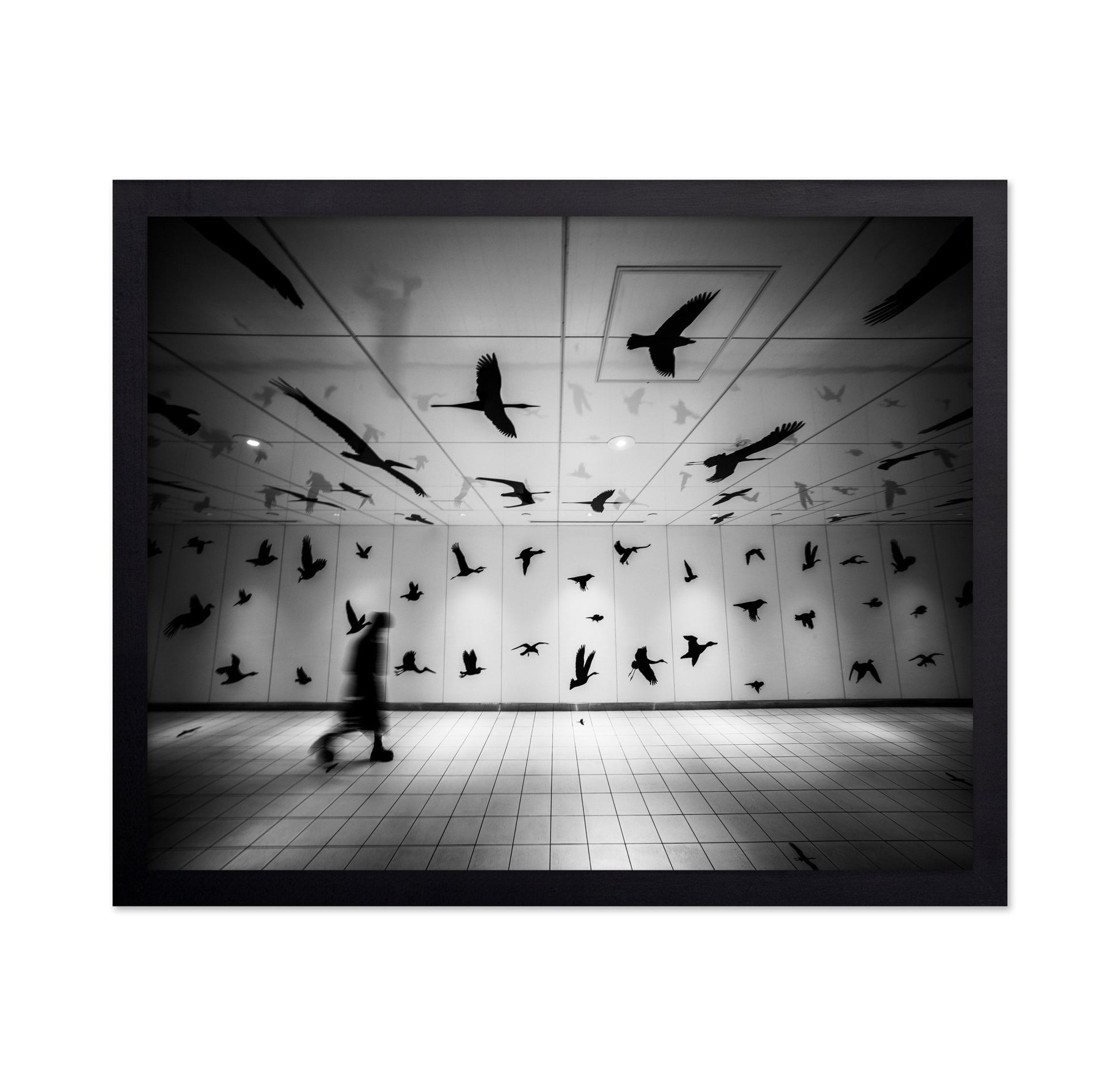 Flying Shadows Hall