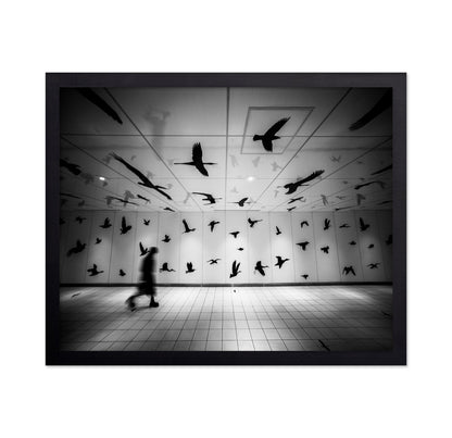 Flying Shadows Hall