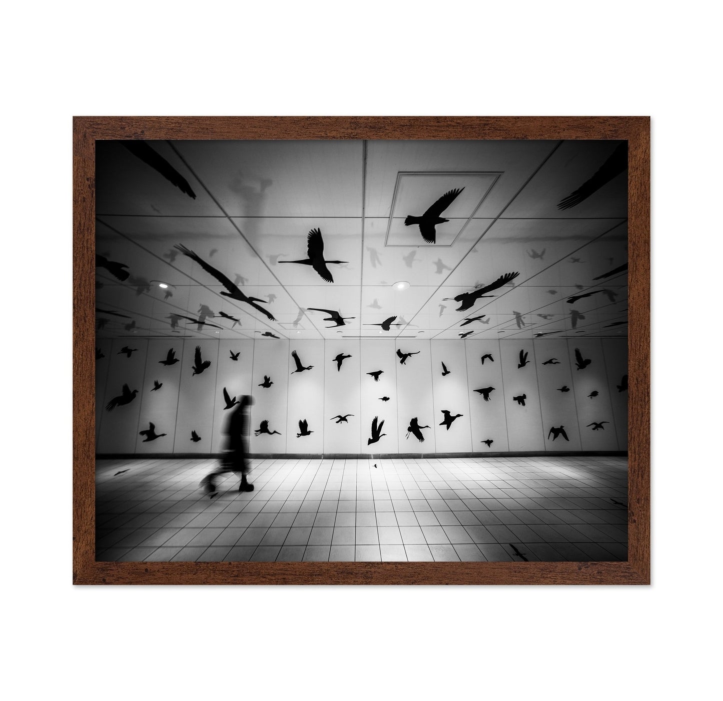 Flying Shadows Hall