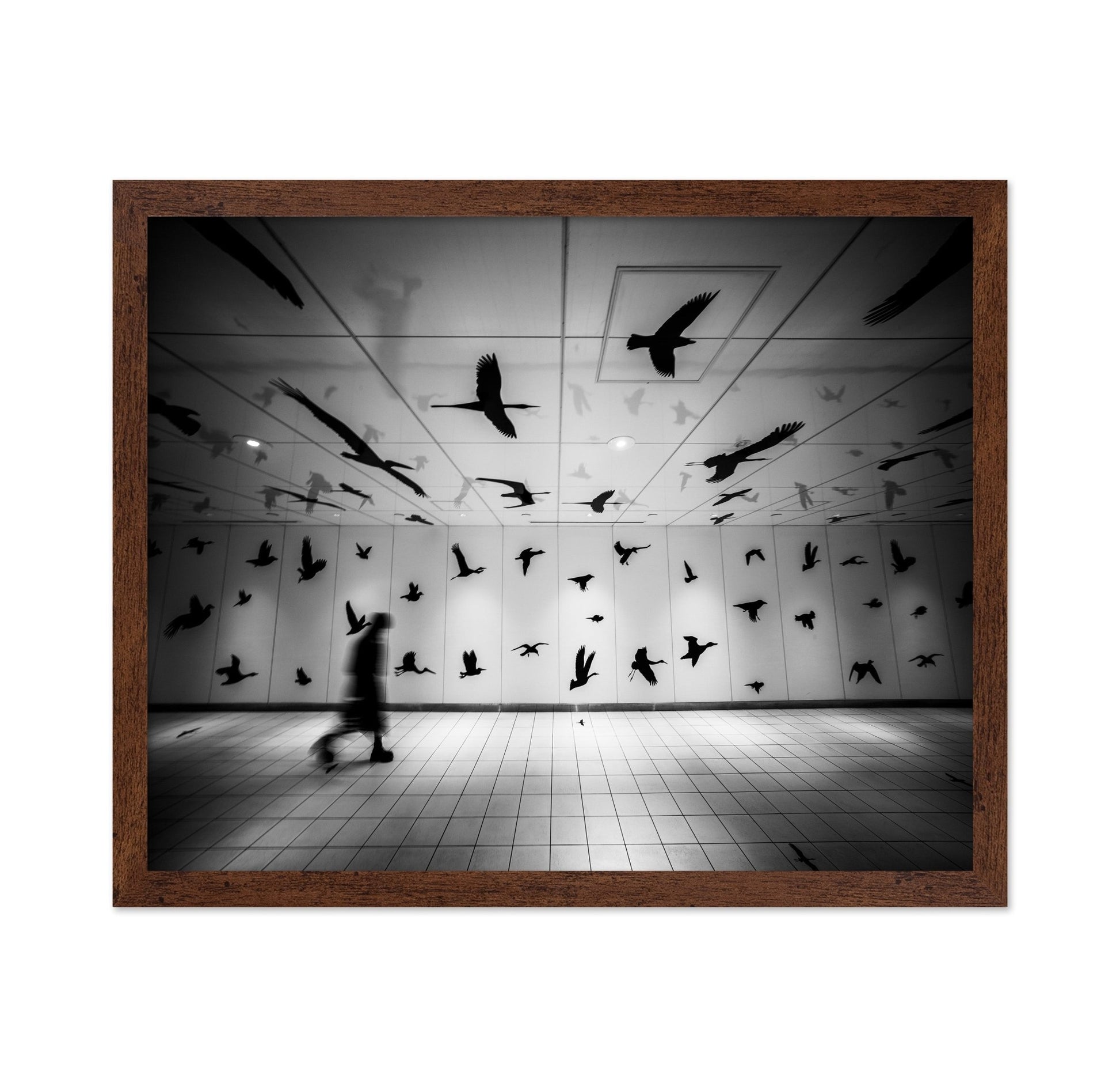 Flying Shadows Hall