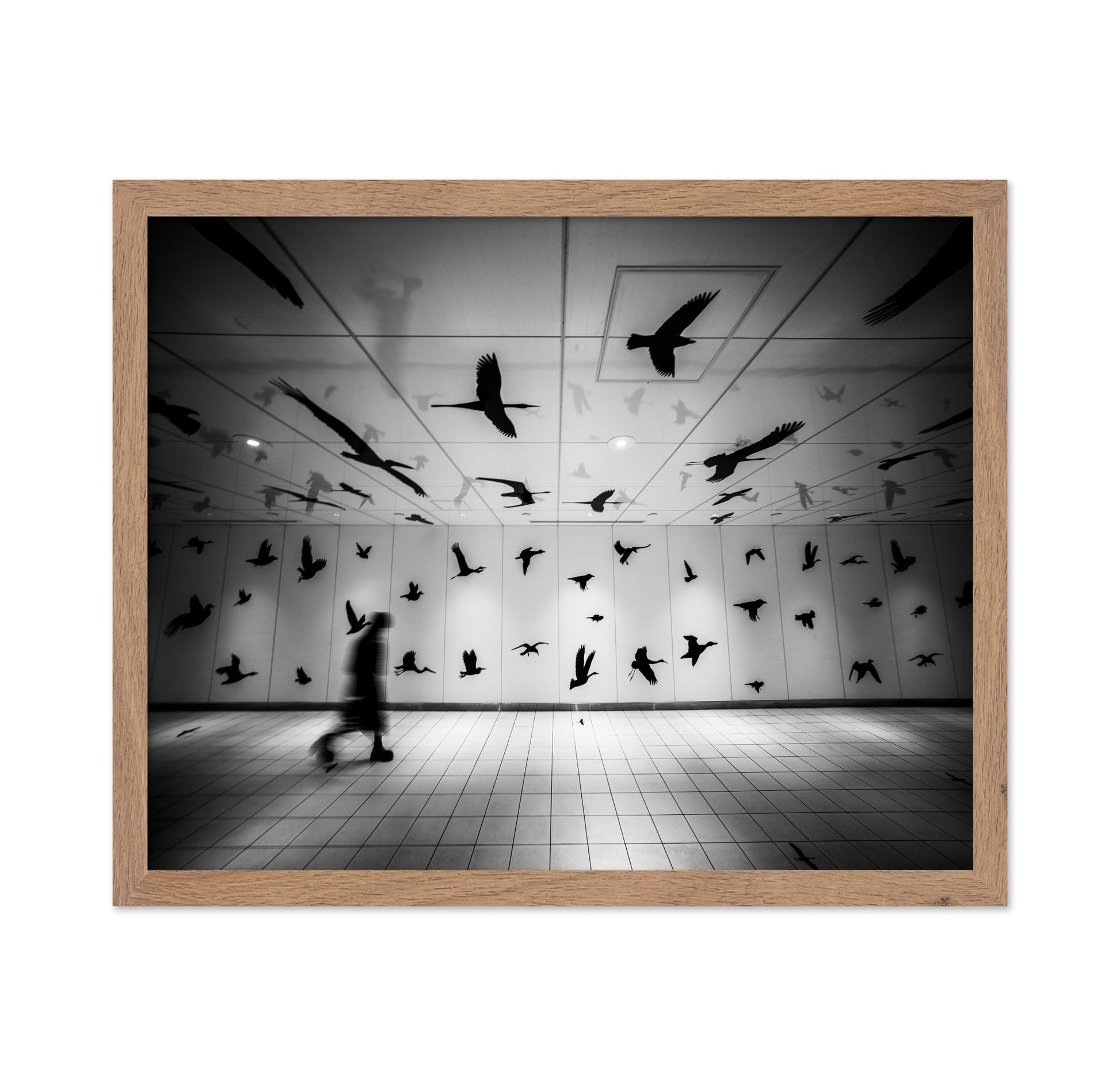 Flying Shadows Hall