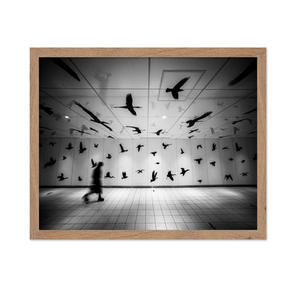 Flying Shadows Hall