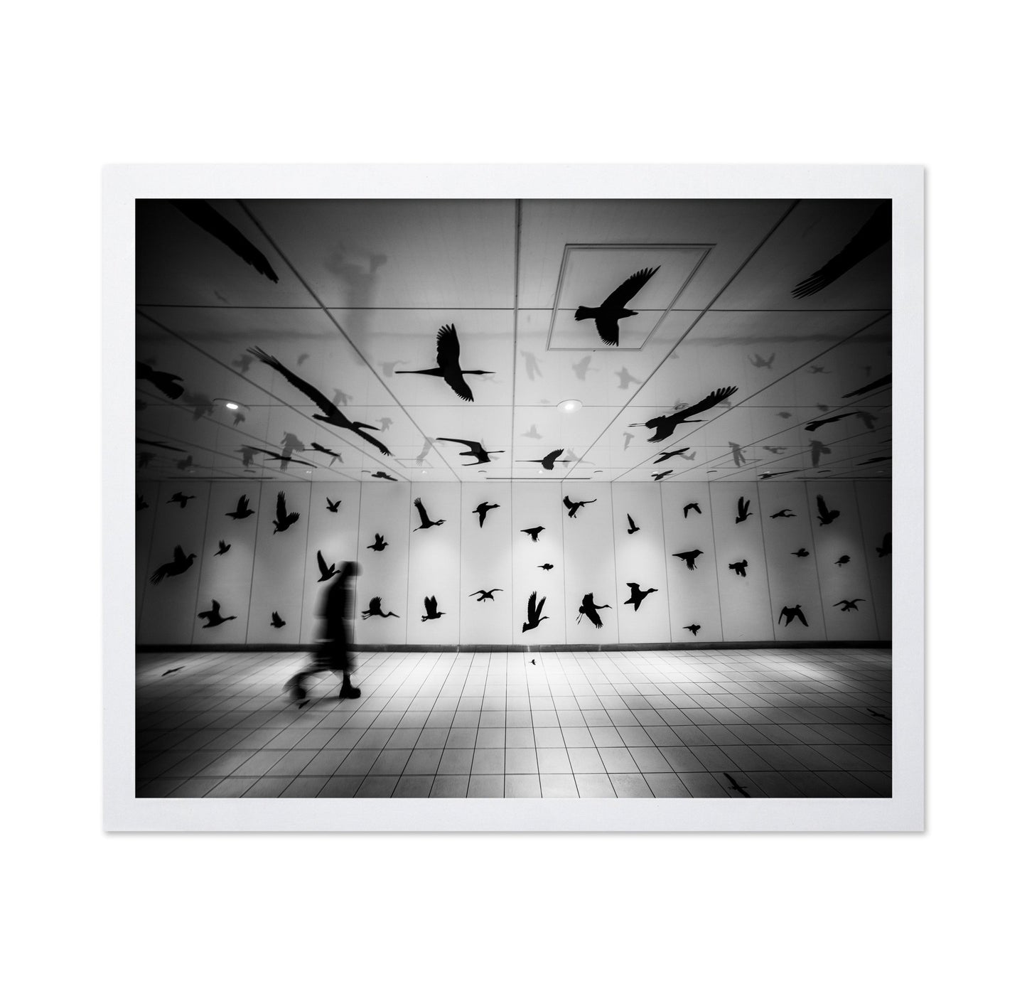 Flying Shadows Hall