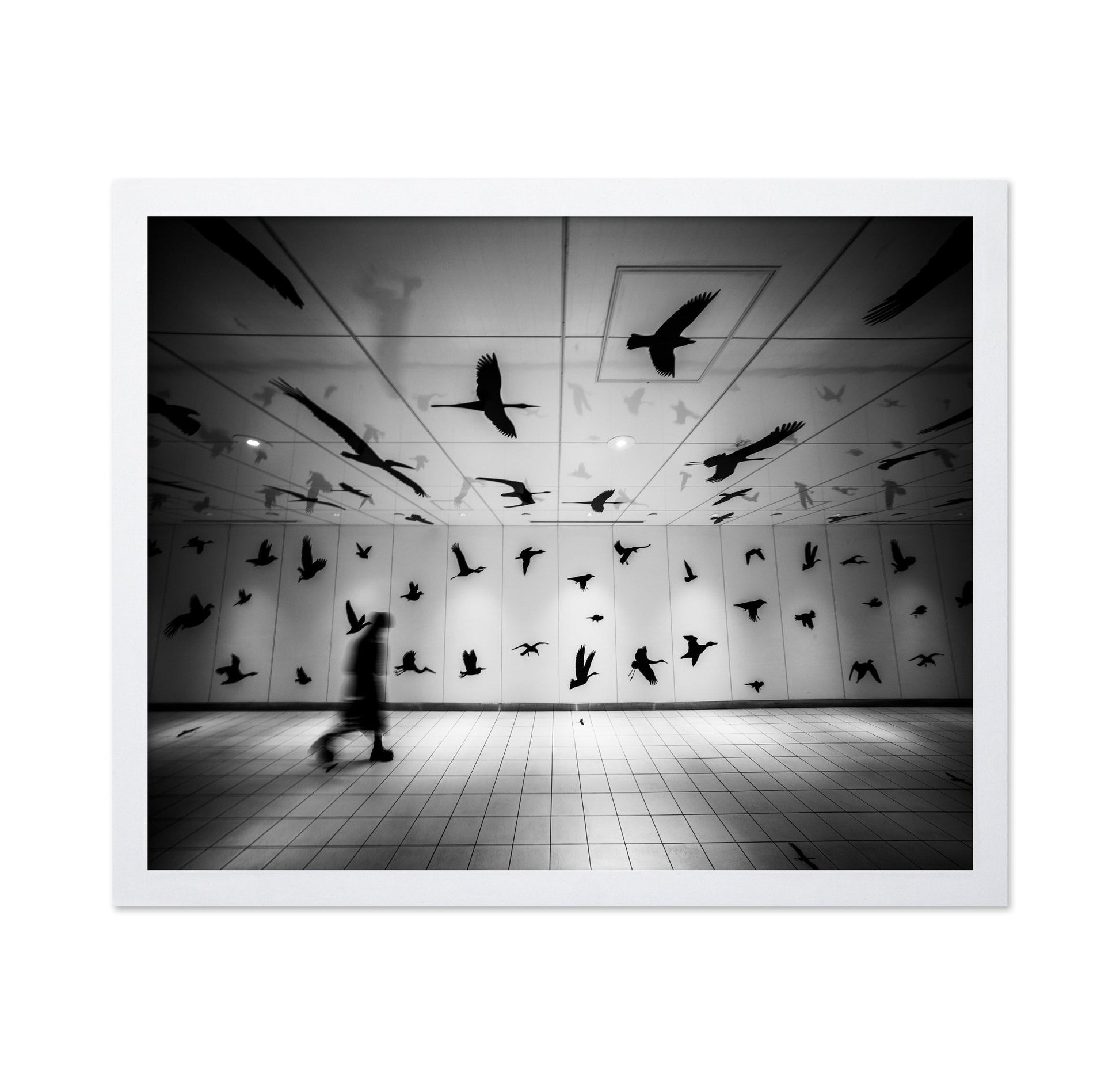 Flying Shadows Hall