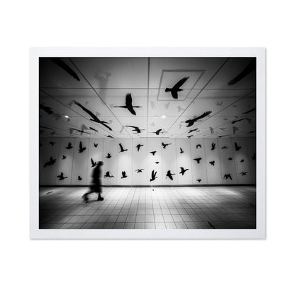 Flying Shadows Hall