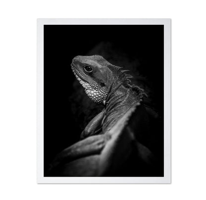 Shadow Lizard Portrait
