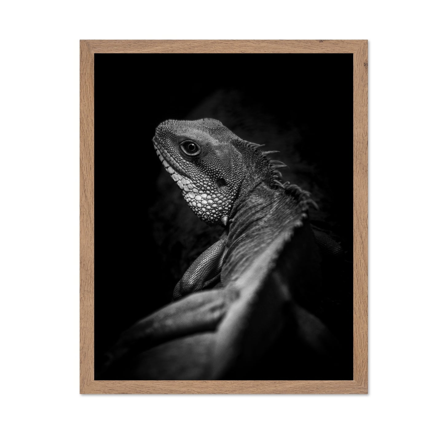 Shadow Lizard Portrait