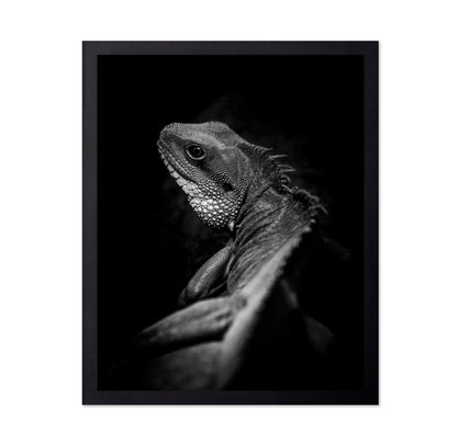Shadow Lizard Portrait
