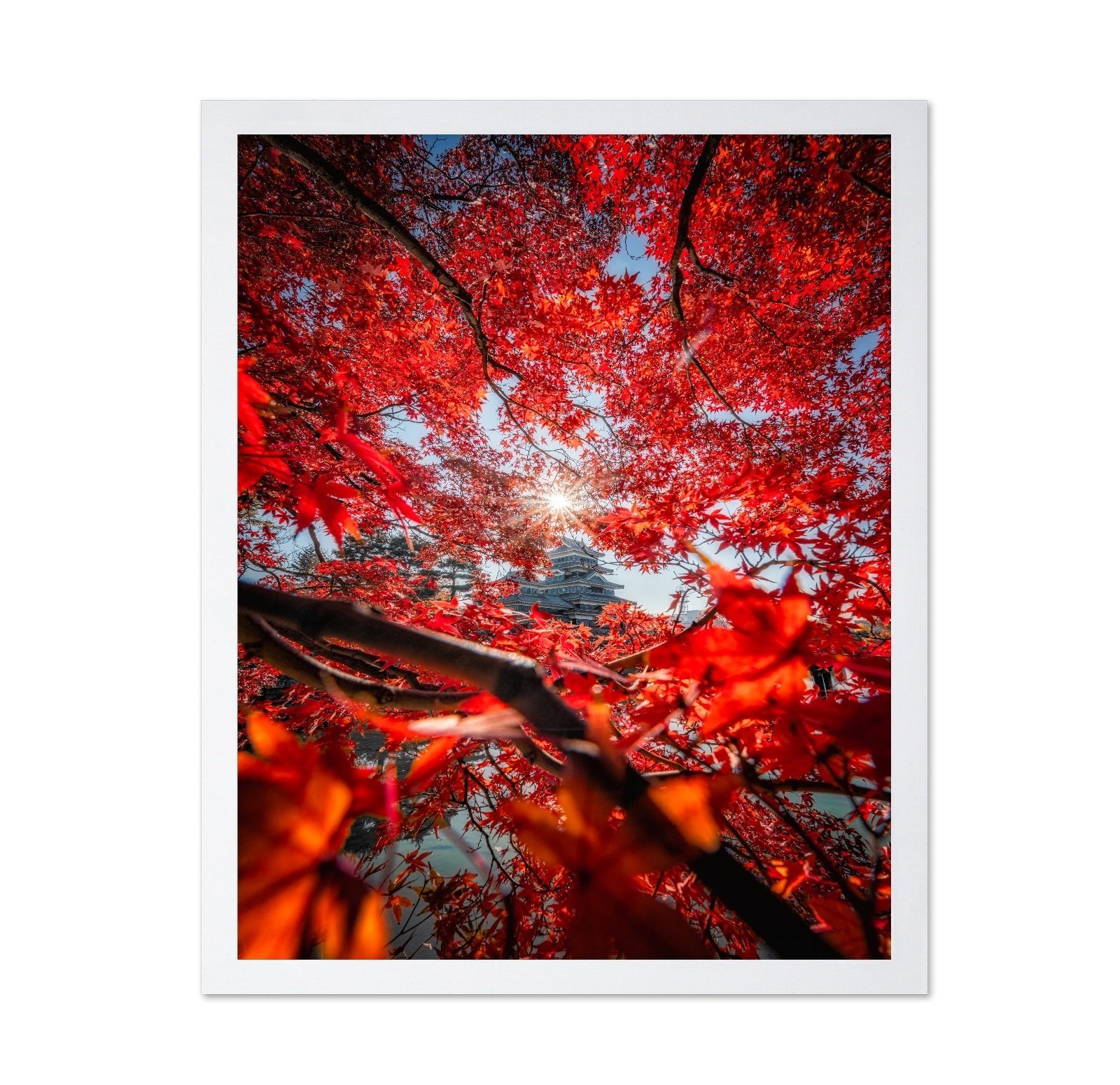 Red Maple Castle View