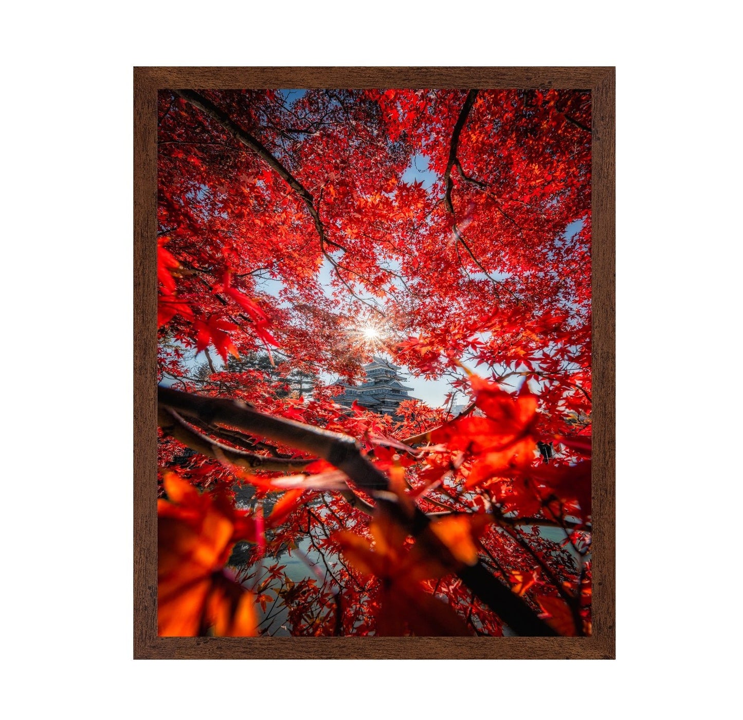 Red Maple Castle View