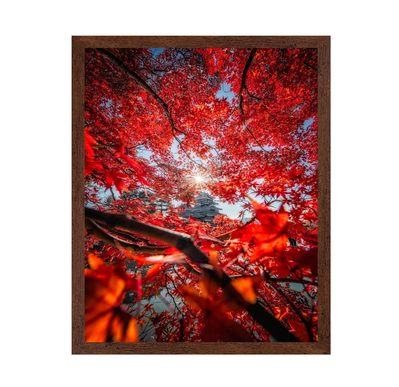 Red Maple Castle View