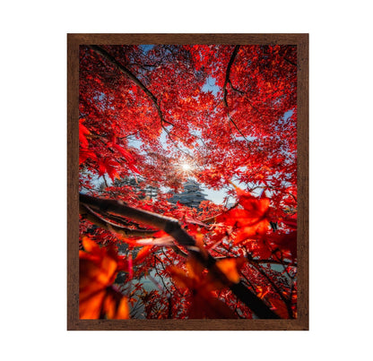 Red Maple Castle View