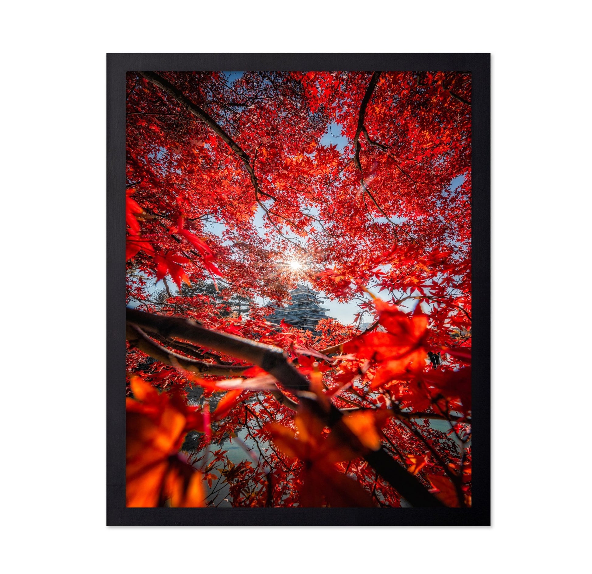 Red Maple Castle View
