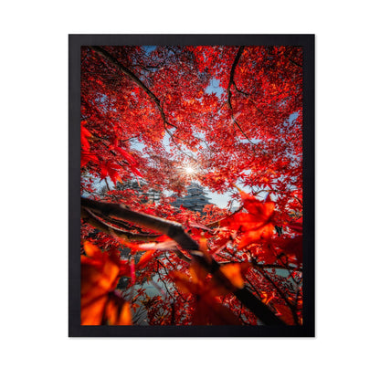 Red Maple Castle View