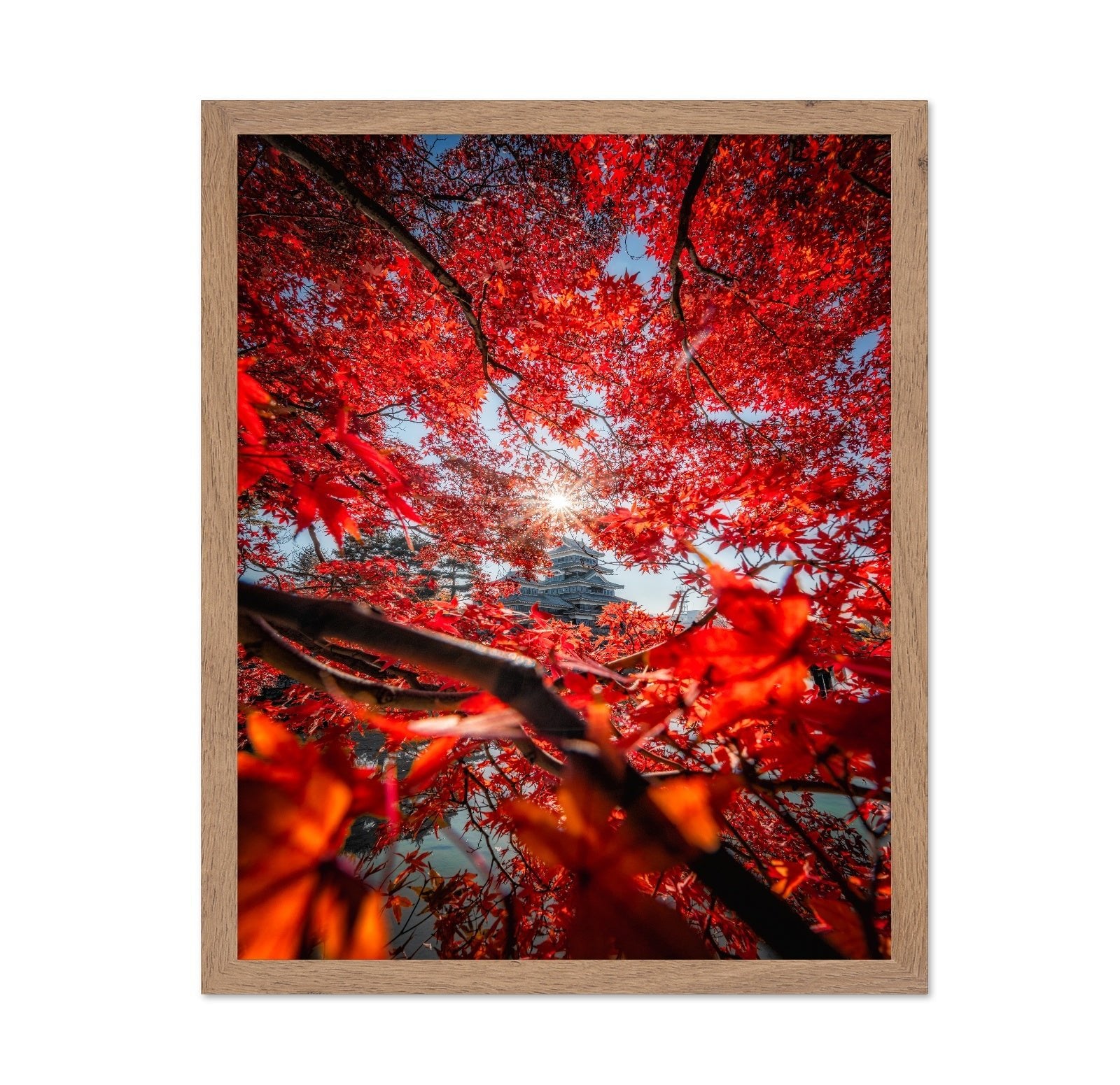Red Maple Castle View