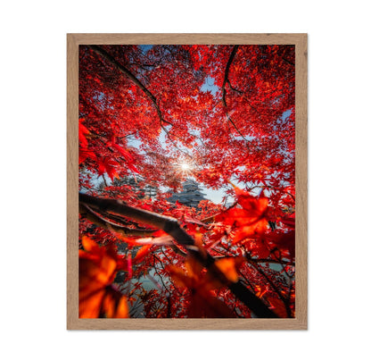 Red Maple Castle View