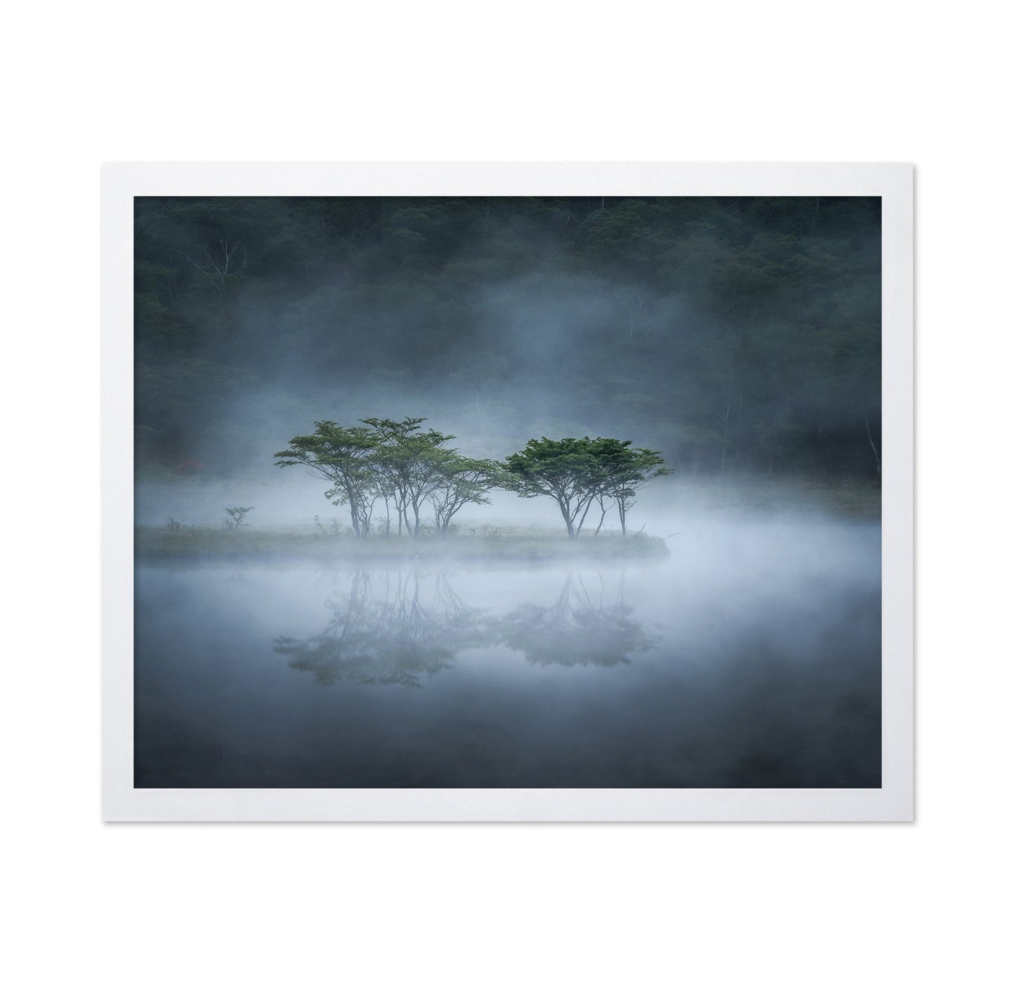 Misty Lake Trees