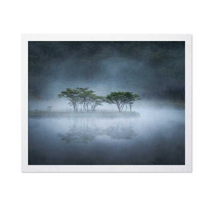 Misty Lake Trees
