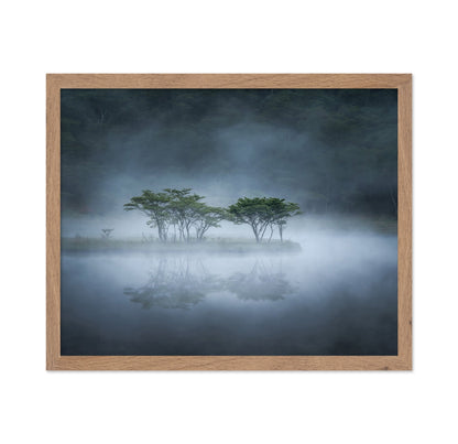 Misty Lake Trees