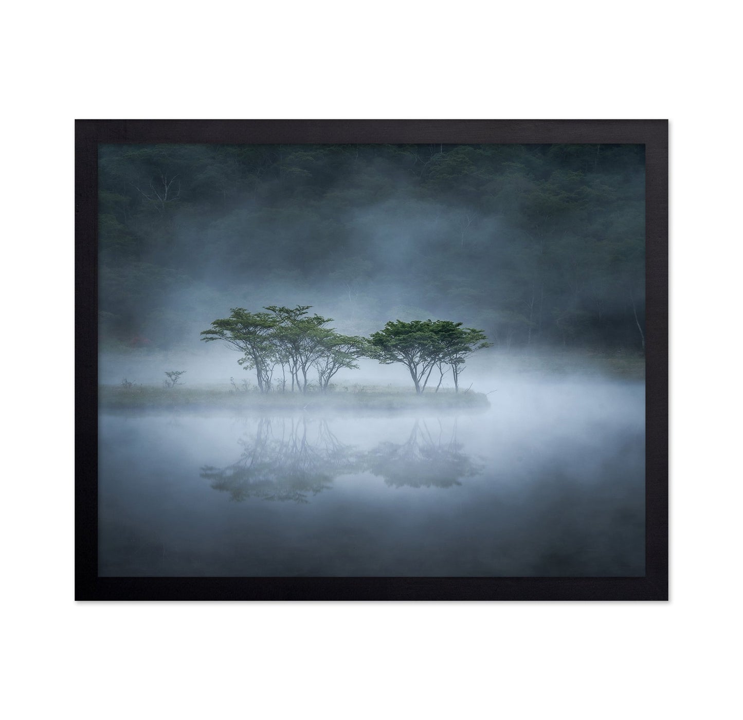 Misty Lake Trees
