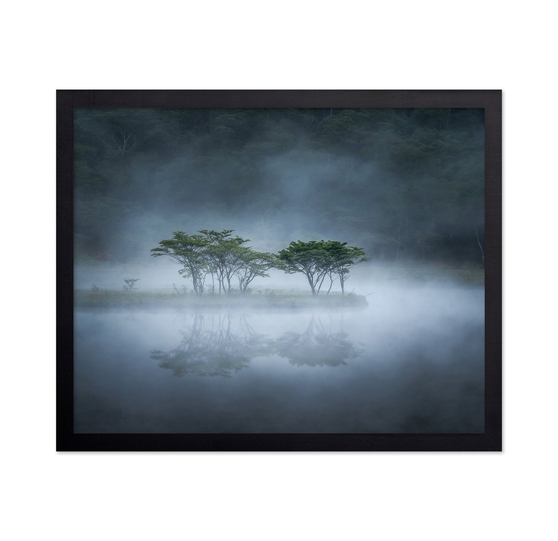Misty Lake Trees