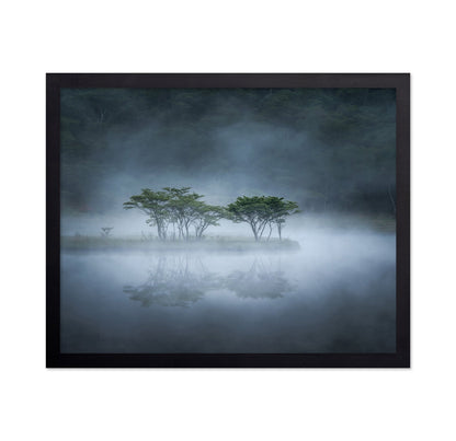 Misty Lake Trees