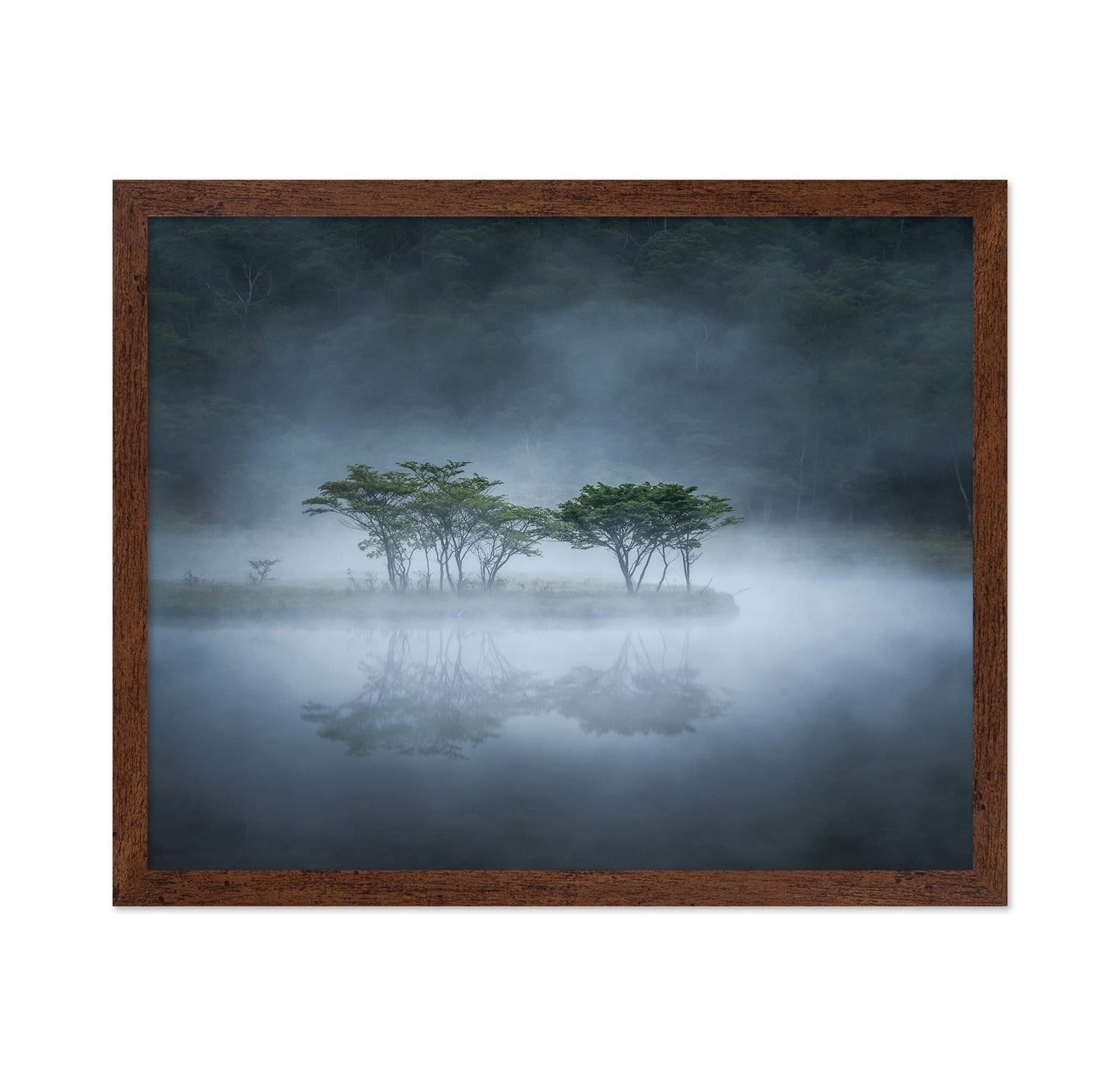 Misty Lake Trees
